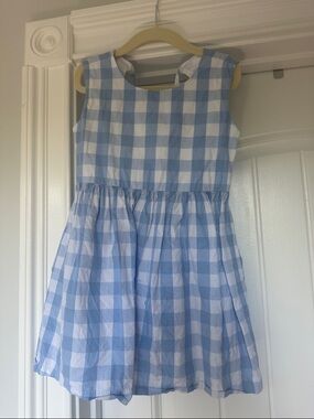 bella bliss Blue and White Gingham Sleeveless Dress